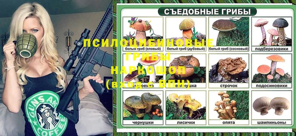 стаф Киренск