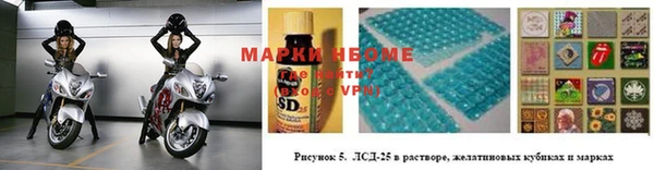 индика Алексеевка