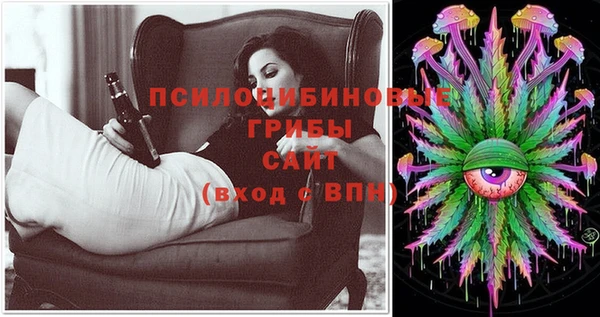 индика Алексеевка