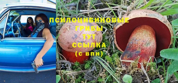 индика Алексеевка