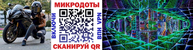 hydra как войти  Пикалёво  Галлюциногенные грибы Psilocybine cubensis 